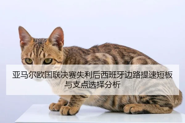 亚马尔欧国联决赛失利后西班牙边路提速短板与支点选择分析